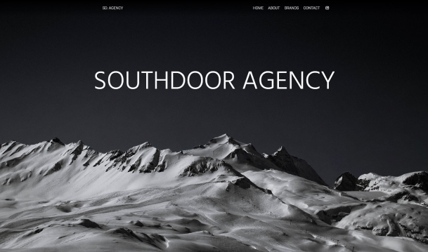 SouthDoor Agency